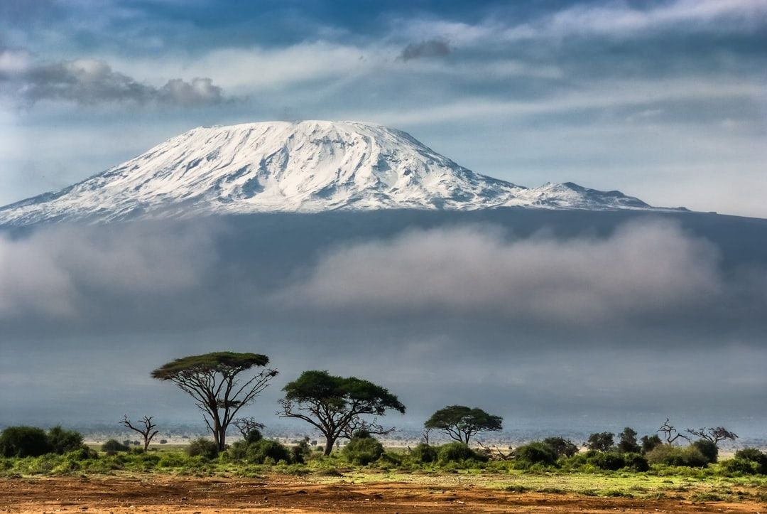 Kenya Safari Helicopter Crash Kills Seven