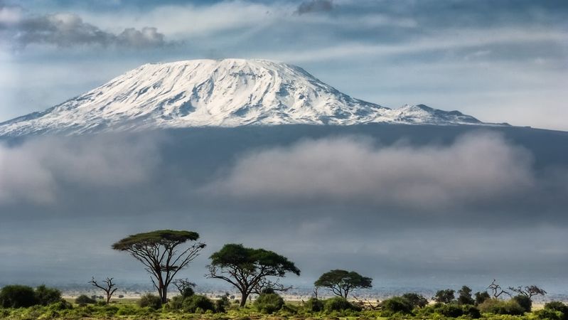 Kenya Safari Helicopter Crash Kills Seven
