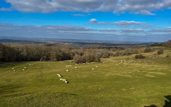 Best Farm Shops in the Cotswolds