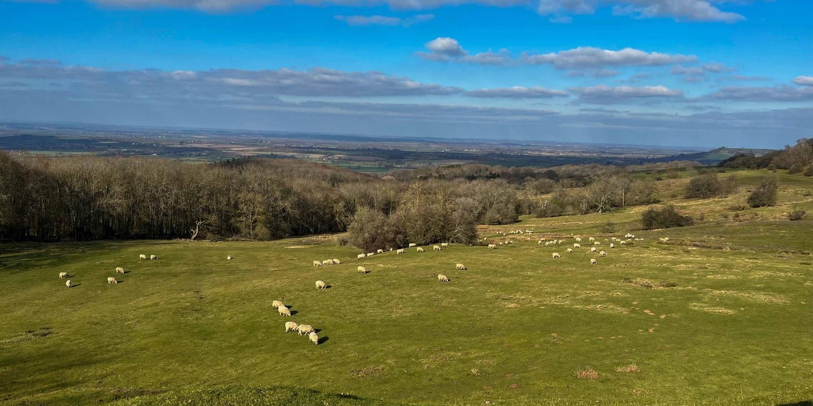 Best Farm Shops in the Cotswolds