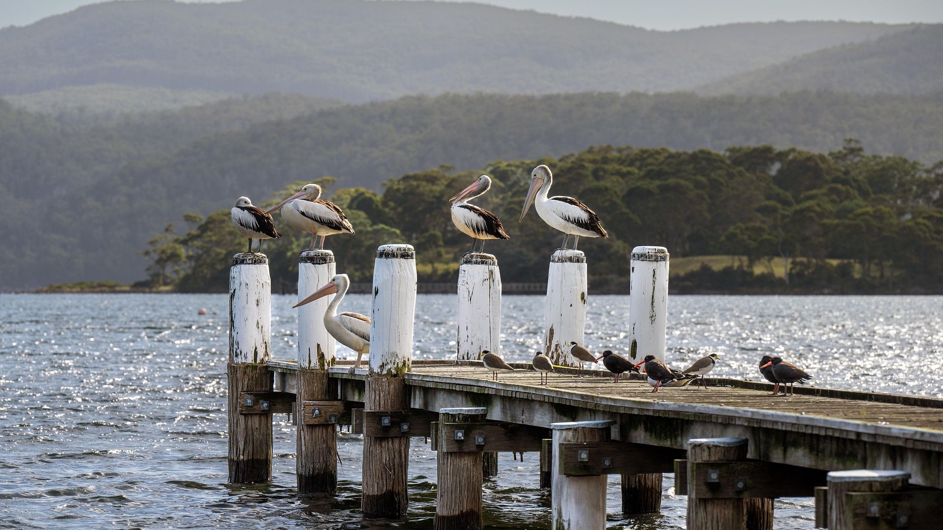 Tasmania, Australia