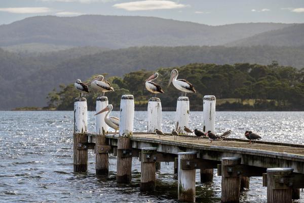 Tasmania, Australia