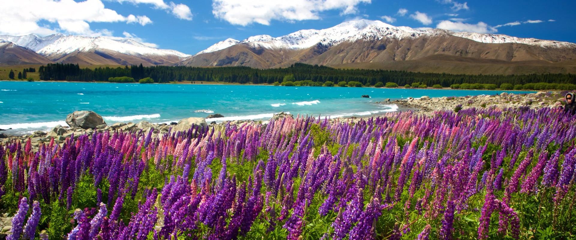 Lake Tekapo, New Zealand