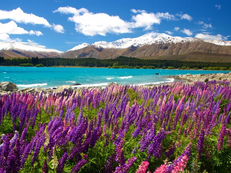 Lake Tekapo, New Zealand