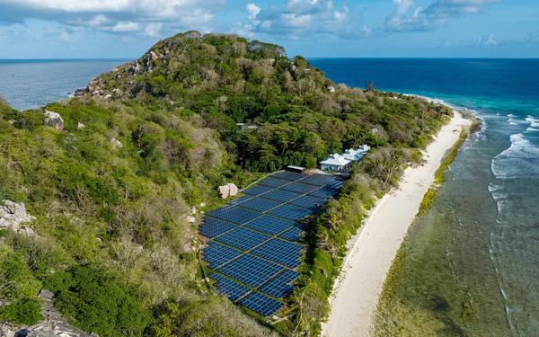 Cousin Island: A Guide to This Pristine Island Sanctuary in the Seychelles