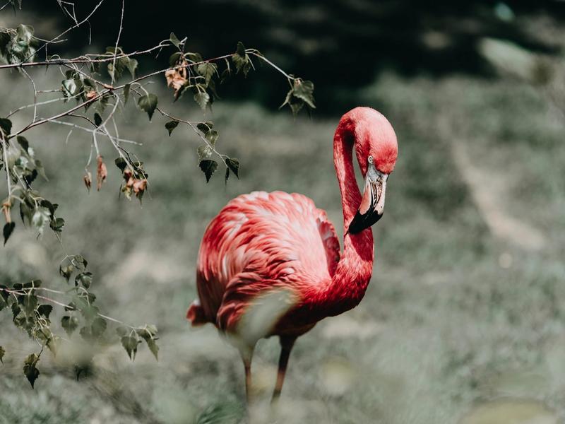 The 20 Best Zoos In The USA