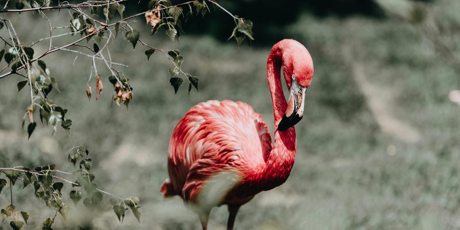 The 20 Best Zoos In The USA