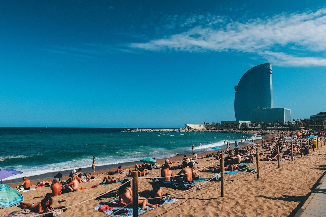 Venomous Beach Sightings Hit Basque Coast