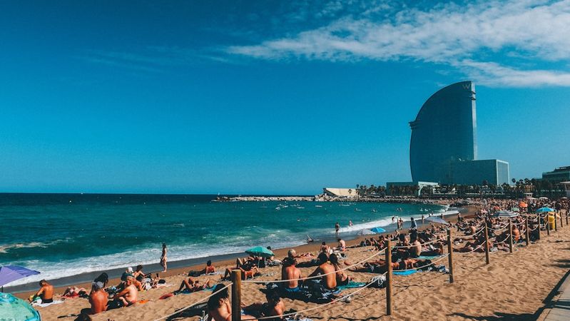 Venomous Beach Sightings Hit Basque Coast