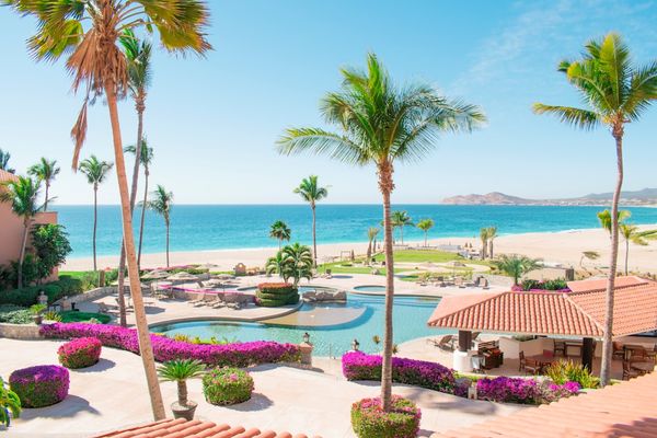 Mexico Cyclospora Cases Rise Among Travellers