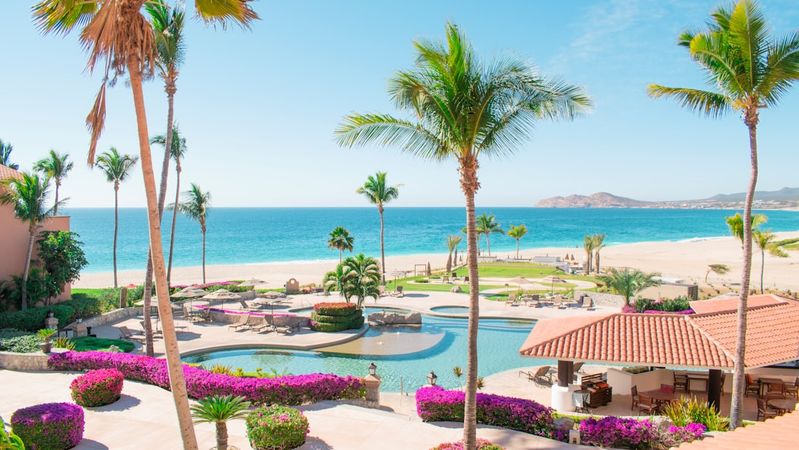 Mexico Cyclospora Cases Rise Among Travellers