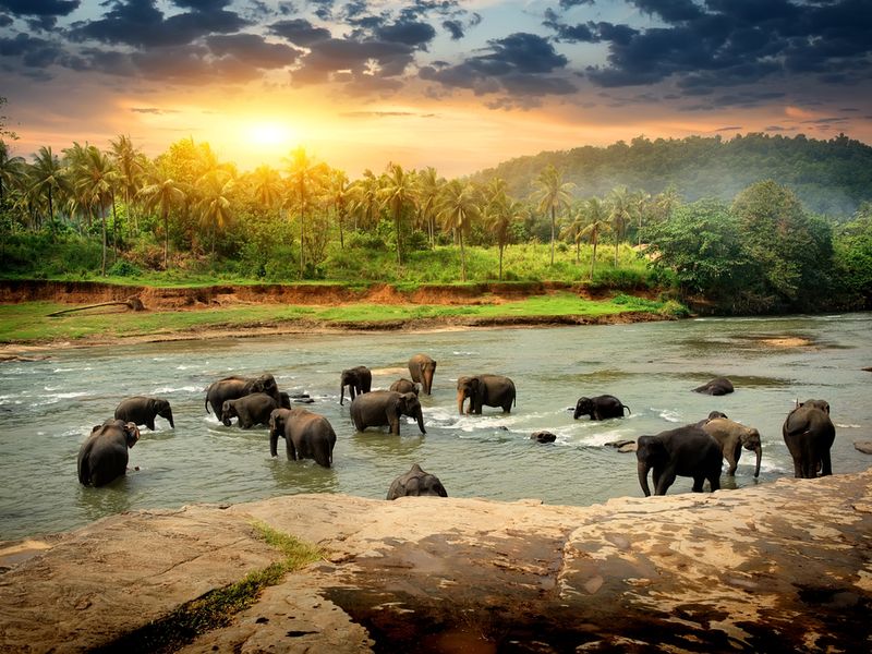 10 Sri Lanka Hotspots off the Beach