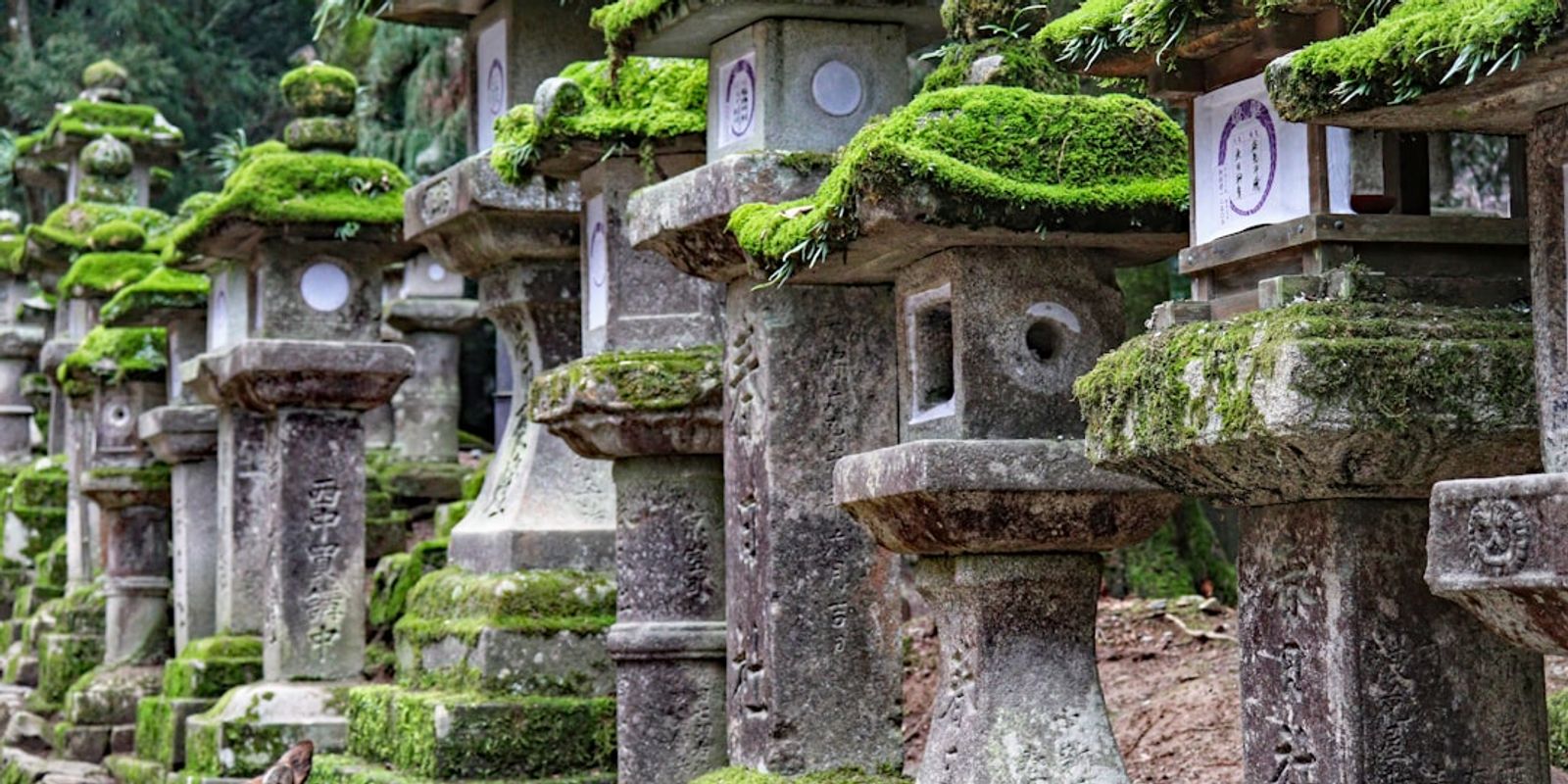 Off the Beaten Path: Exploring the Lesser-Known Wonders of Japan