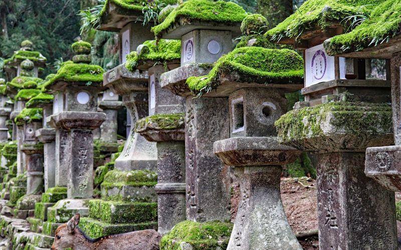 Off the Beaten Path: Exploring the Lesser-Known Wonders of Japan