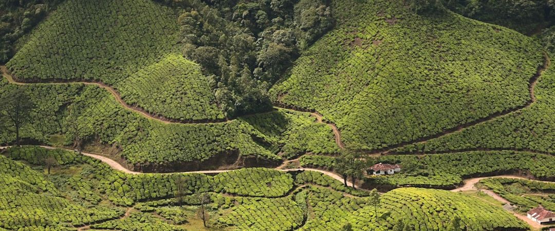Munnar, India