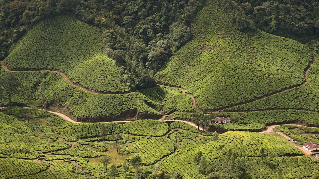 Munnar, India