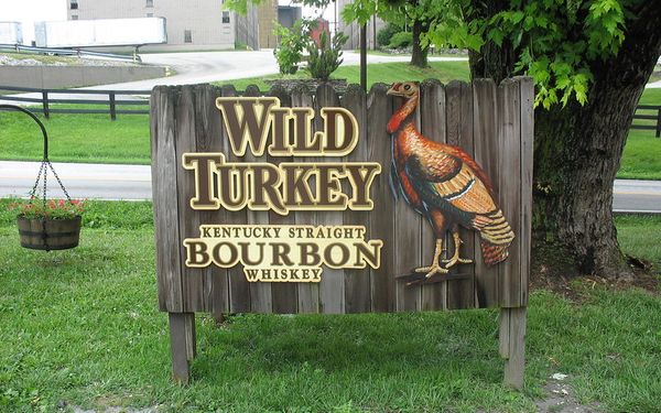 Inspiring Reasons to Visit Kentucky