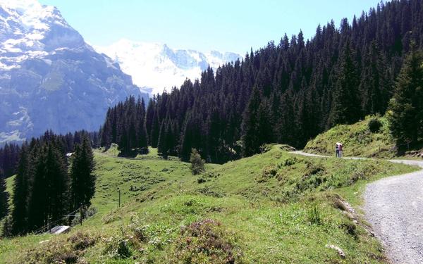Easy walks near Interlaken (Switzerland) Grütschalp to Mürren