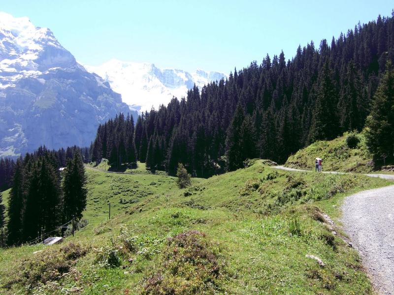 Easy walks near Interlaken (Switzerland) Grütschalp to Mürren