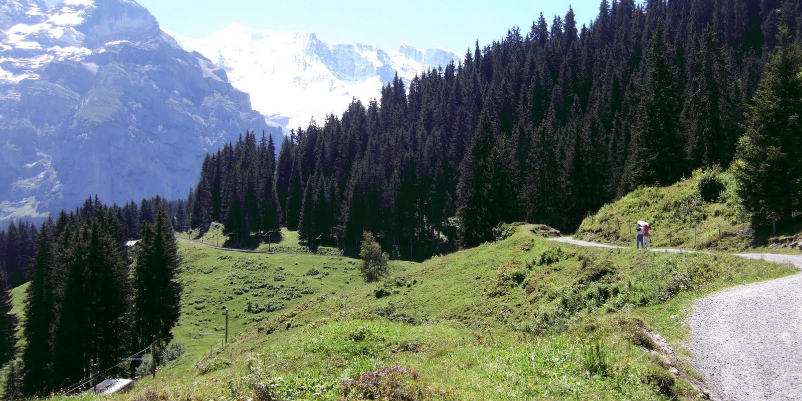 Easy walks near Interlaken (Switzerland) Grütschalp to Mürren
