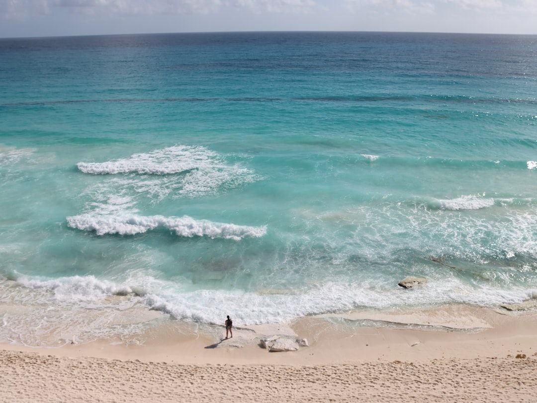 Mexico Seaweed Cleanup Targets Resorts