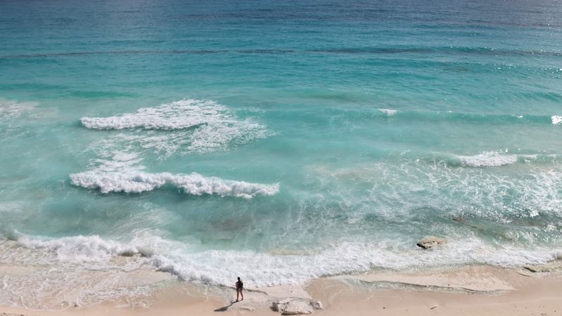 Mexico Seaweed Cleanup Targets Resorts