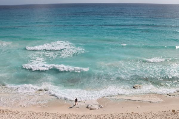Mexico Seaweed Cleanup Targets Resorts