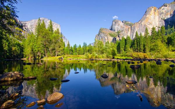The Best California National Forests To Visit