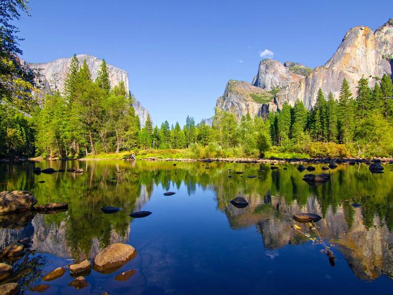 The Best California National Forests To Visit