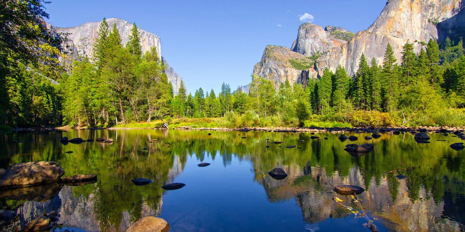 The Best California National Forests To Visit