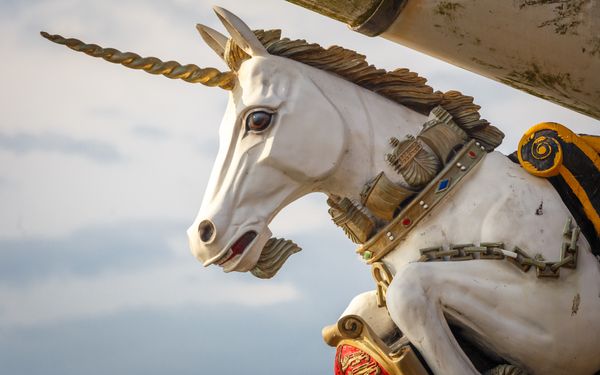 What Is The National Animal Of Scotland?