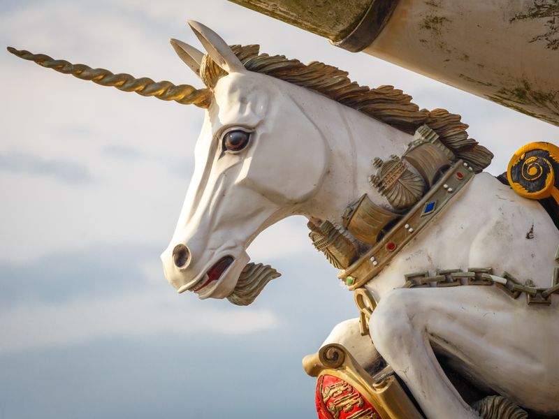 What Is The National Animal Of Scotland?