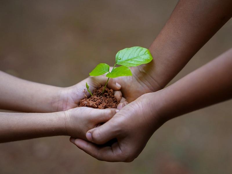 Budget Friendly Adventures: How to Travel For Free with Workaway