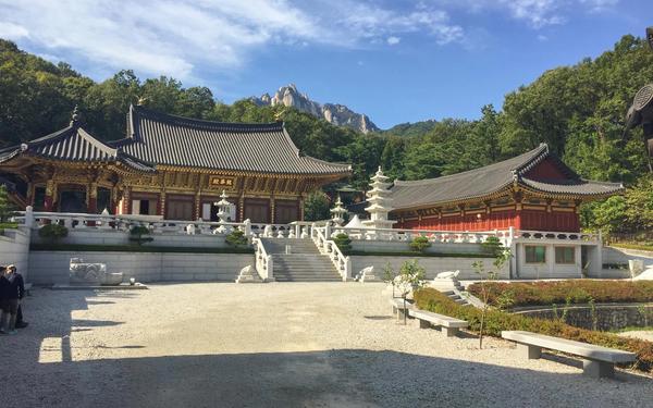 What to Do in Seoul with Children