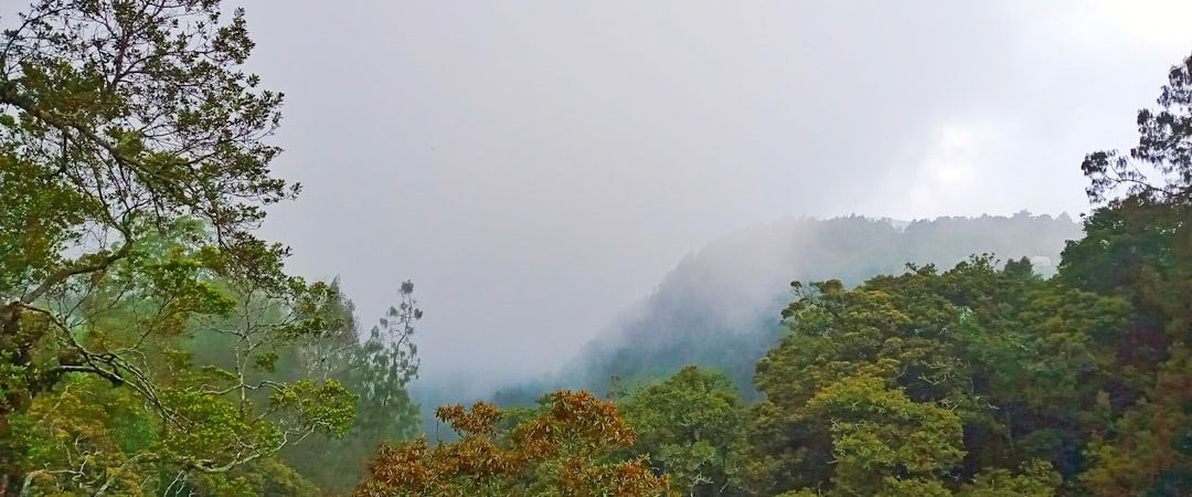 Cascadia, United States