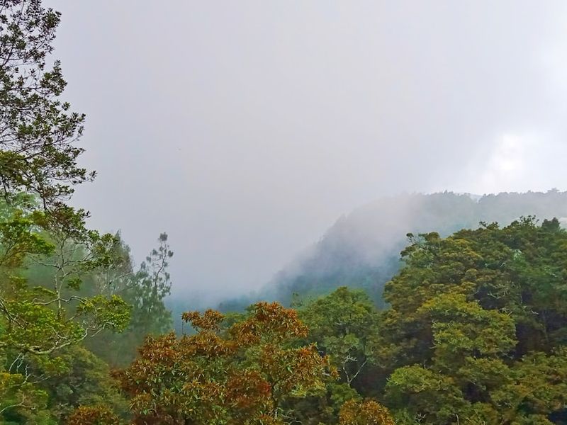 Cascadia, United States