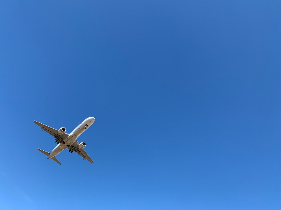 Maximizing Your Health on Long Flights