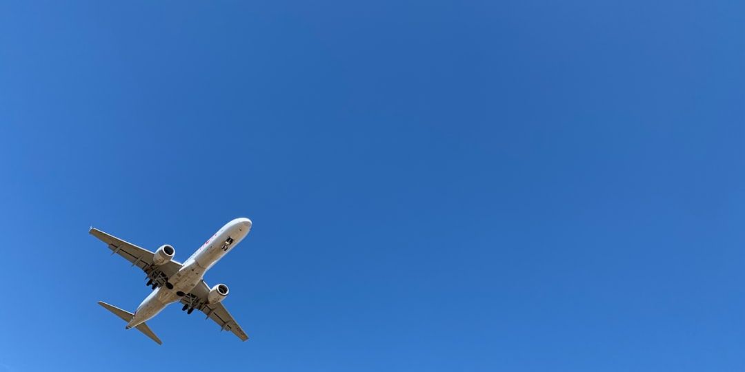 Maximizing Your Health on Long Flights