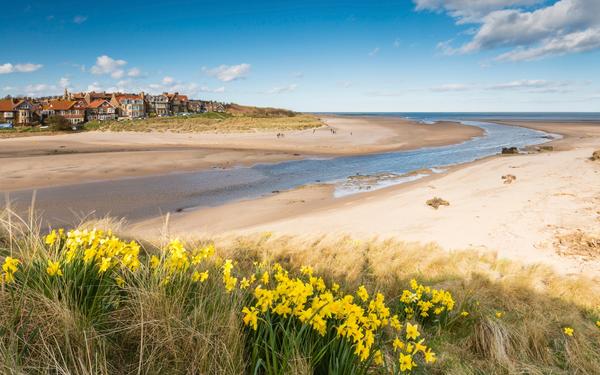 Step Into Nature: The Best Walks In And Around Alnmouth (England)