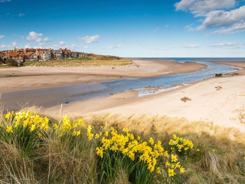 Step Into Nature: The Best Walks In And Around Alnmouth (England)