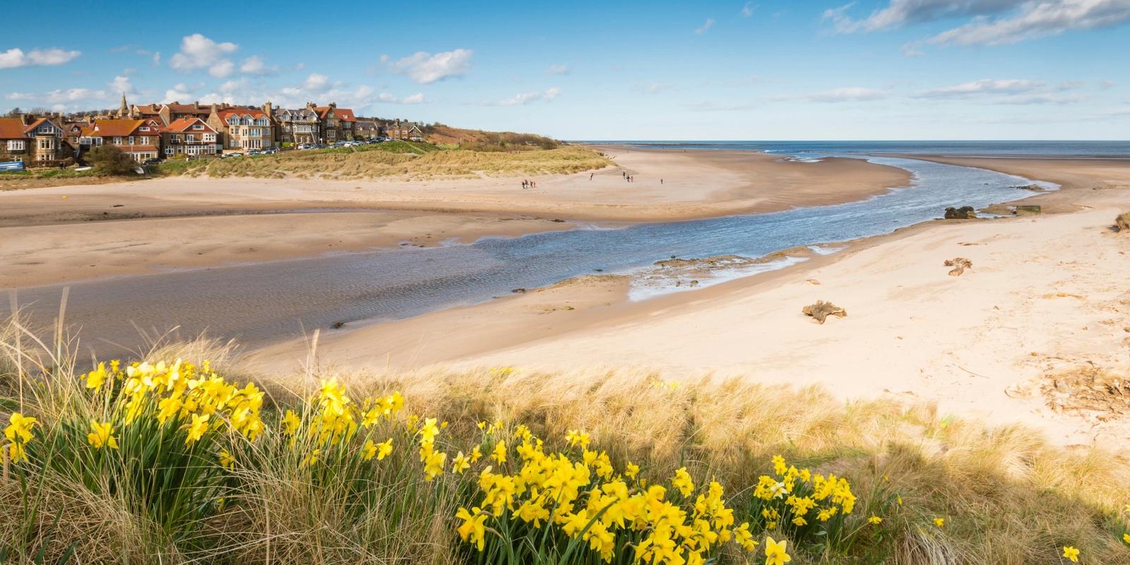 Step Into Nature: The Best Walks In And Around Alnmouth (England)