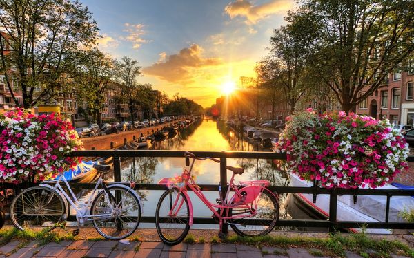 Amsterdam: Feed Your Wild Side