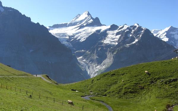 Easy walks near Interlaken (Switzerland) Grindelwald First to Grosse Scheidegg