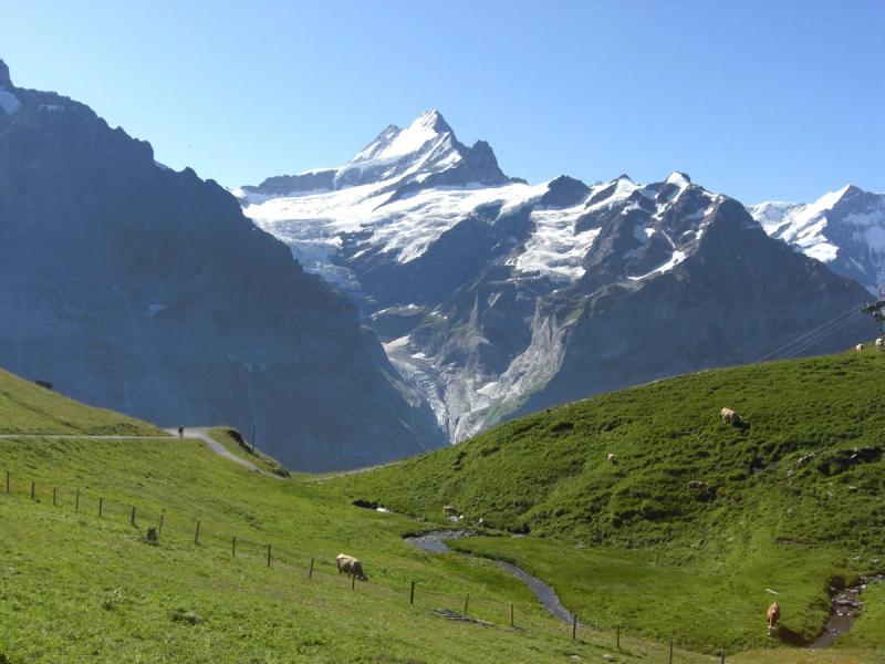Easy walks near Interlaken (Switzerland) Grindelwald First to Grosse Scheidegg