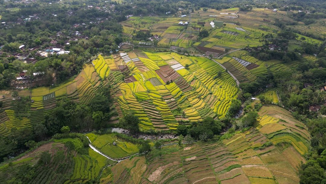 Ubud, Indonesia