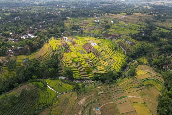 Ubud, Indonesia