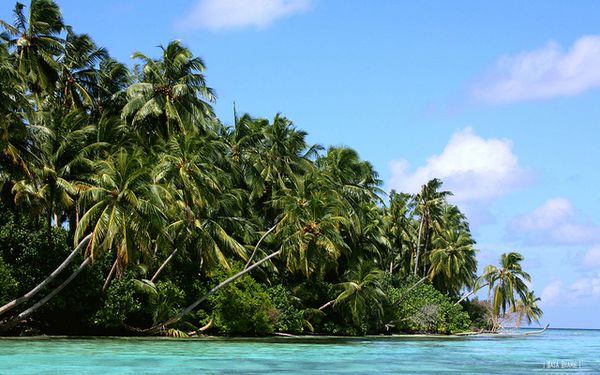 The Top Seven Attractions In The Maldives Explained