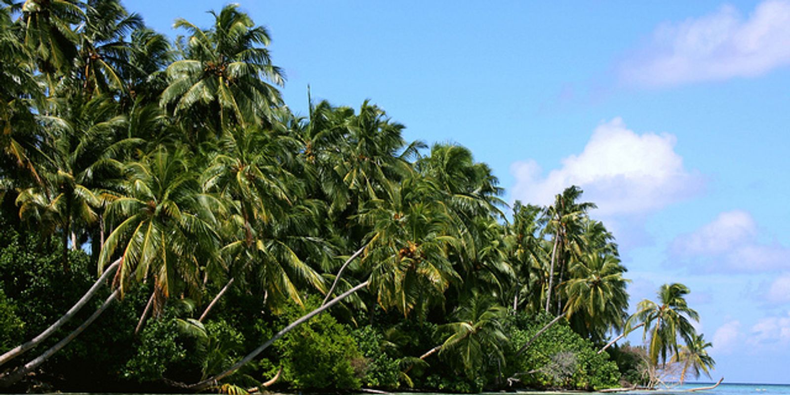 The Top Seven Attractions In The Maldives Explained