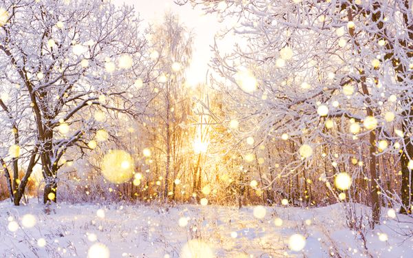 Winter Wonderlands - 3 Fab French Ski Resorts