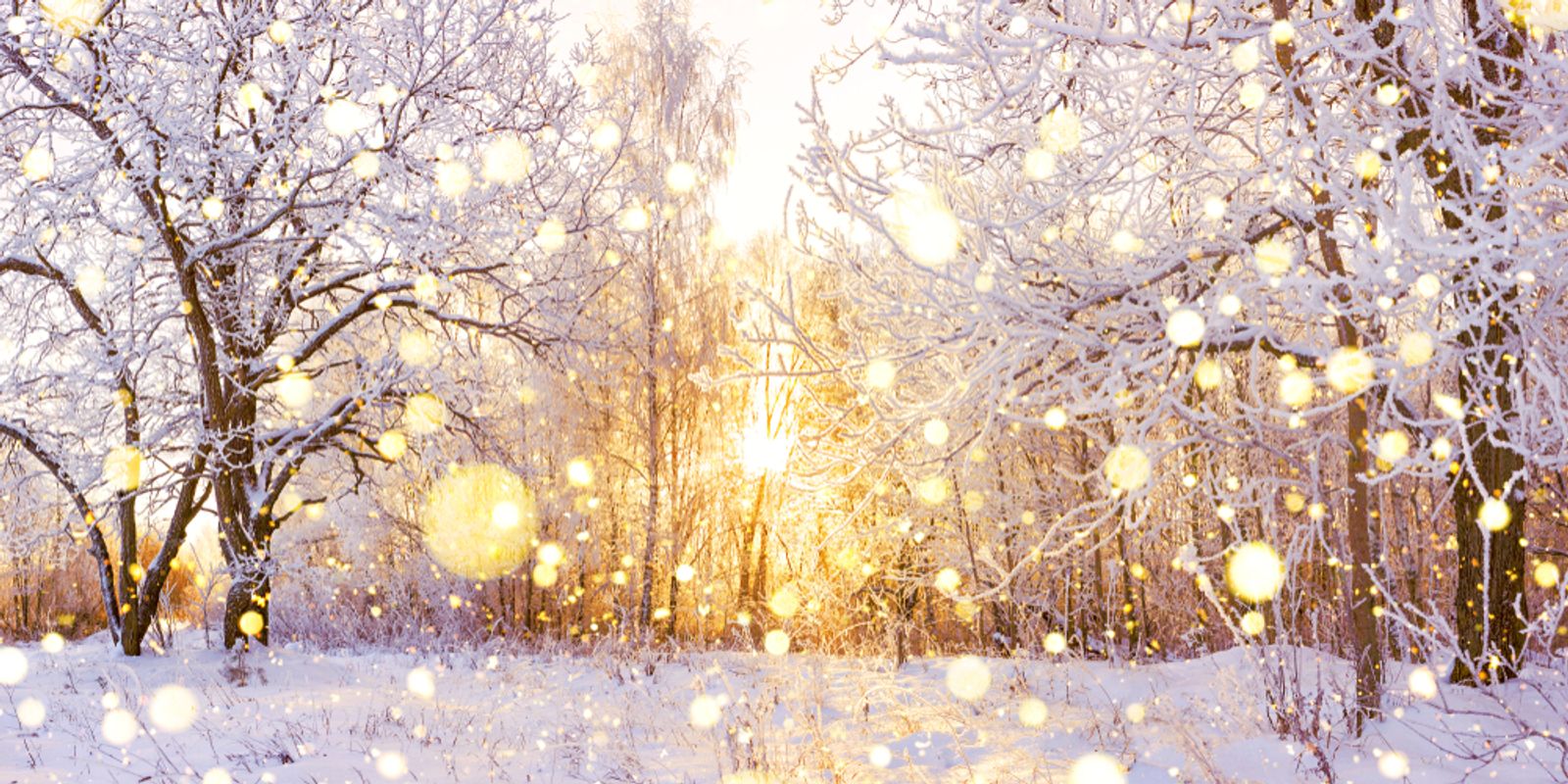 Winter Wonderlands - 3 Fab French Ski Resorts